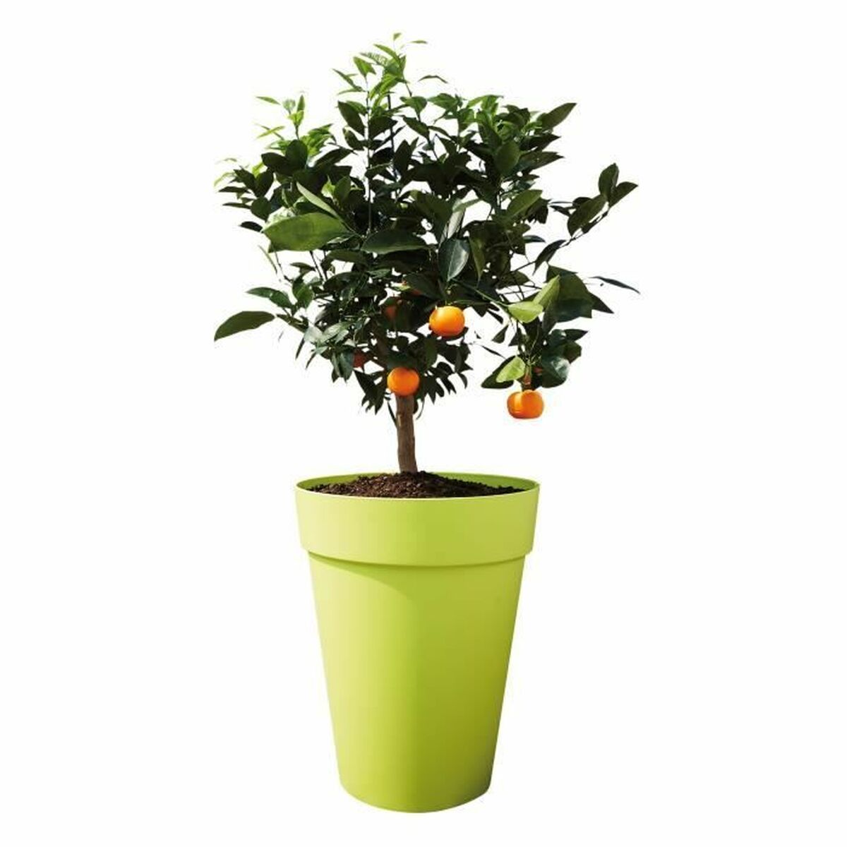 Pušķi Elho Pelēks Apaļa Ø 35 cm